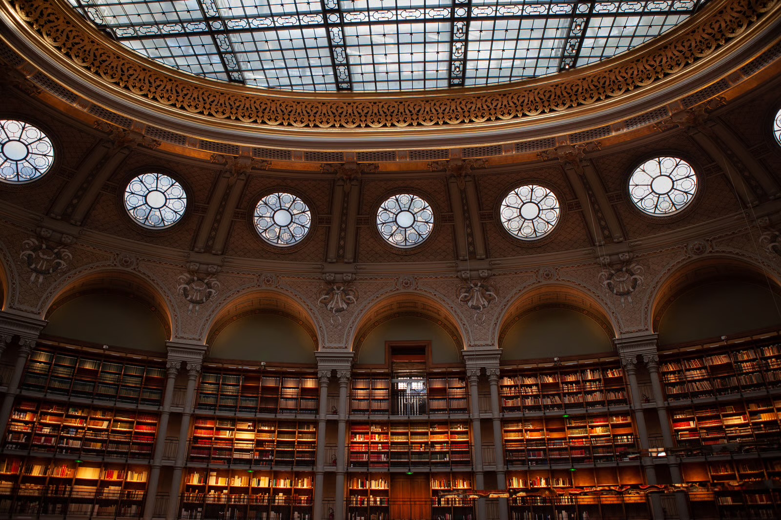 The Library — a domed reading room lined with books