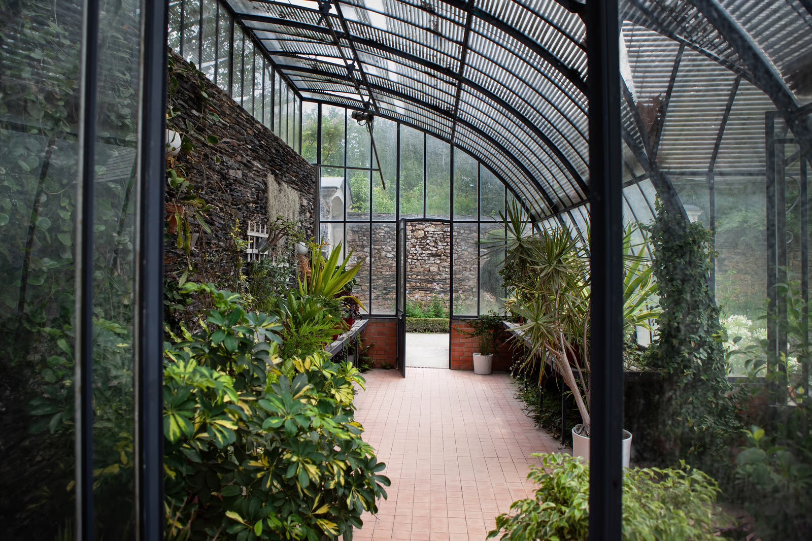 The Orangery — a glass garden room full of plants